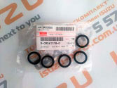 9095613180       (B) ID = 17,8